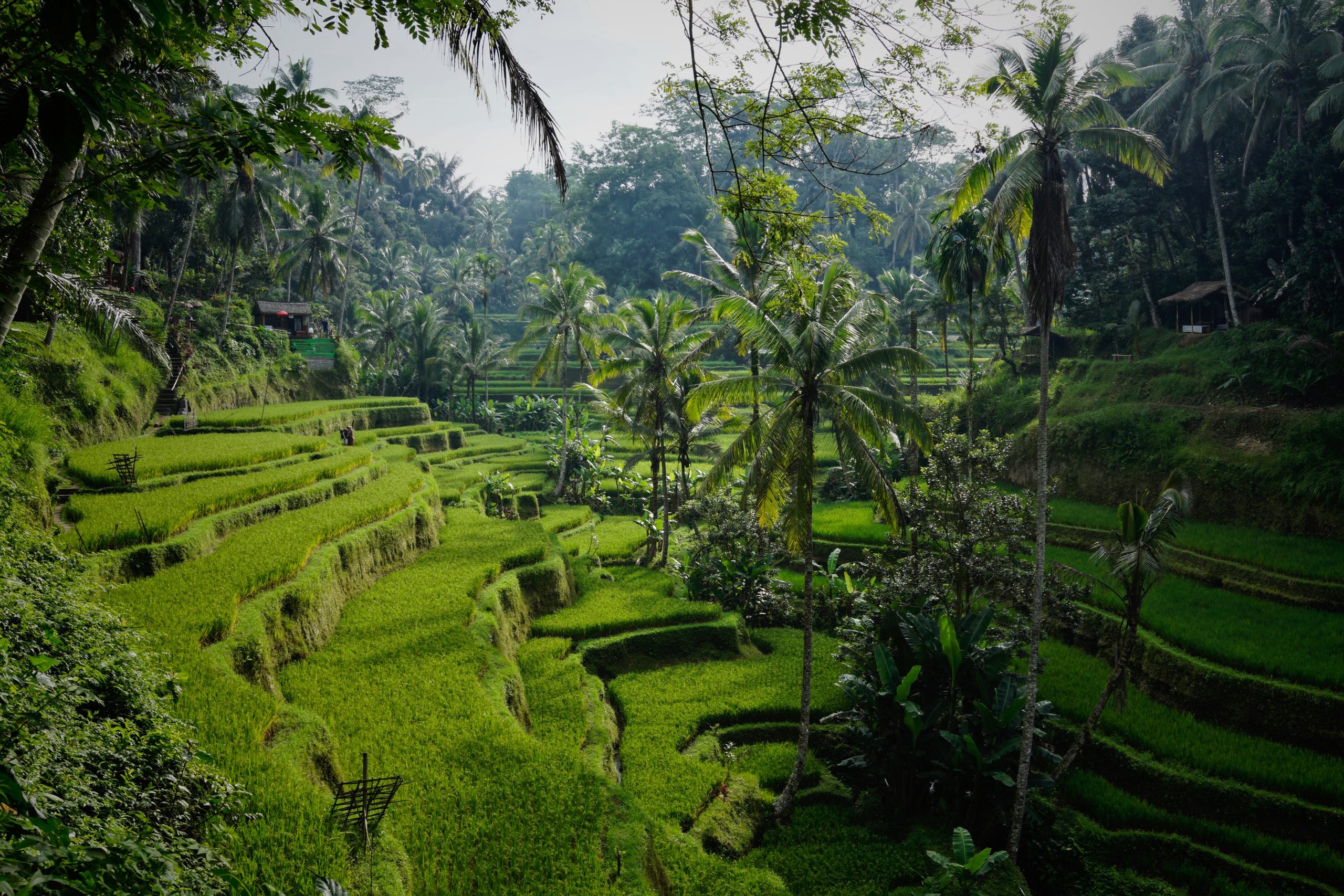 Beste reistijd Bali